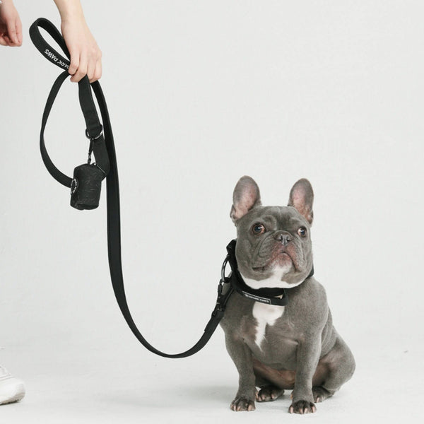 Tactical Dog Collar Set - Black (1.5"/4cm)