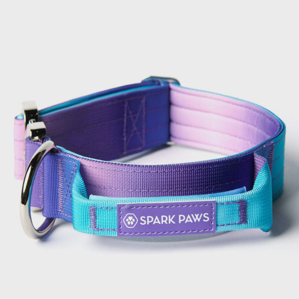 Tactical Dog Collar - 90s Retro (1.5"/4cm)