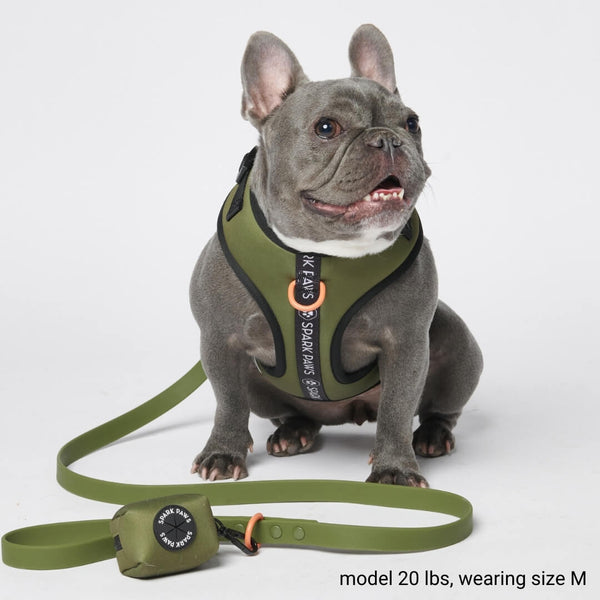 Waterproof PVC Dog Leash - Green