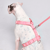 Comfort Control No-Pull Dog Harness - Pink