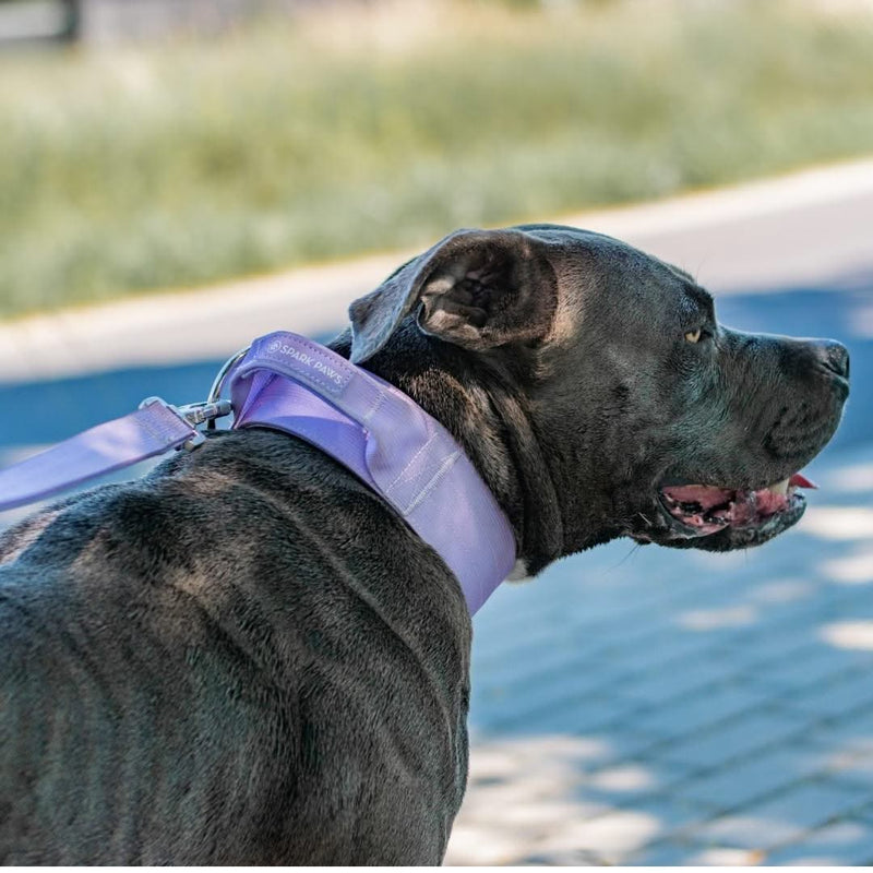 Tactical Dog Collar Set - Lilac (2"/5cm)