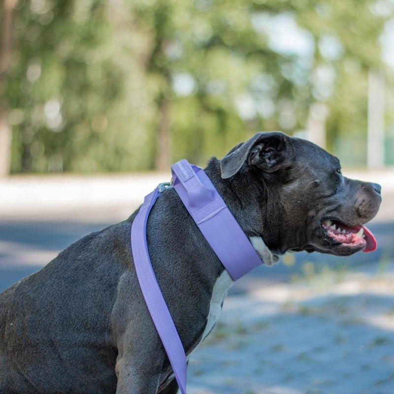 Tactical Dog Collar Set - Lilac (2"/5cm)