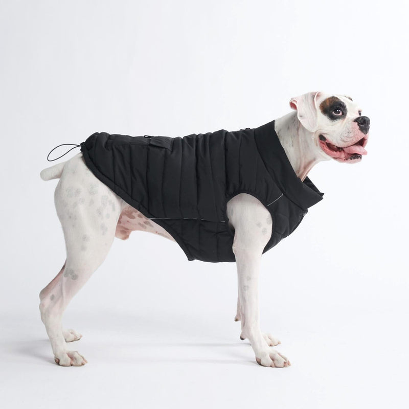 Black Warmshield Jacket