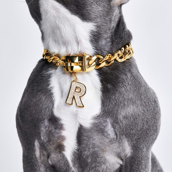 Gold initial letter pendant jewelry tag for dogs, pet ID tag for small and big dogs, bling for dogs, charms for dogs