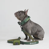 Tactical Dog Collar Set - Army Green (1.5"/4cm)