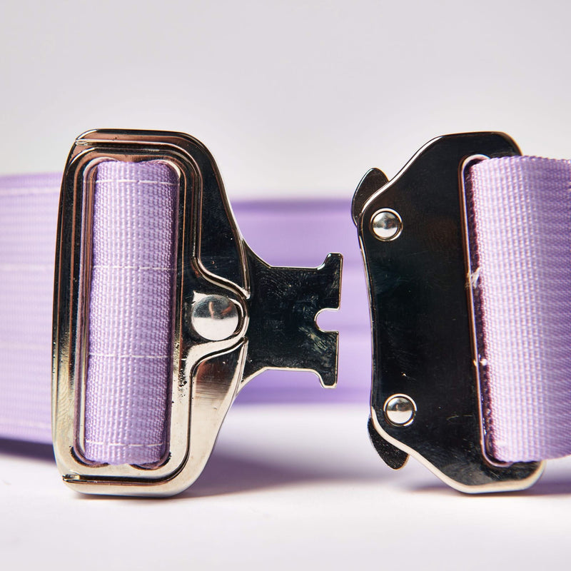 Tactical Dog Collar Set - Lilac (2"/5cm)