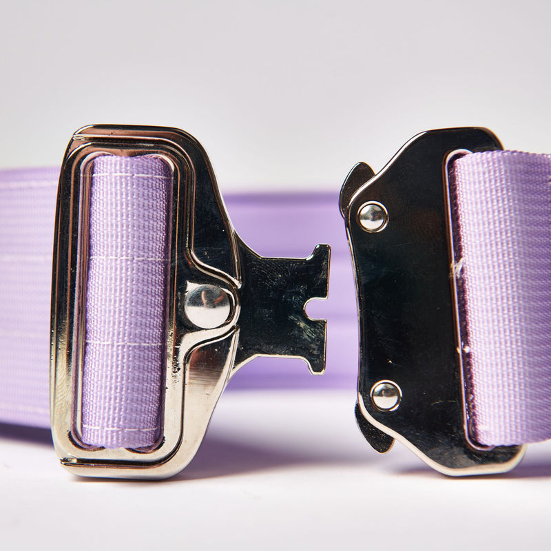 Comfort Control Collar Set - Lilac