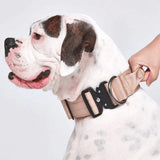 Tactical Dog Collars (2"/5cm)