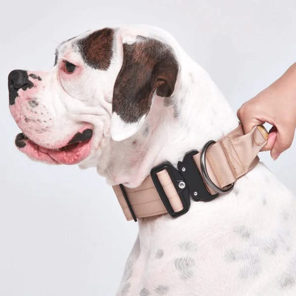 Tactical Dog Collars (2"/5cm)
