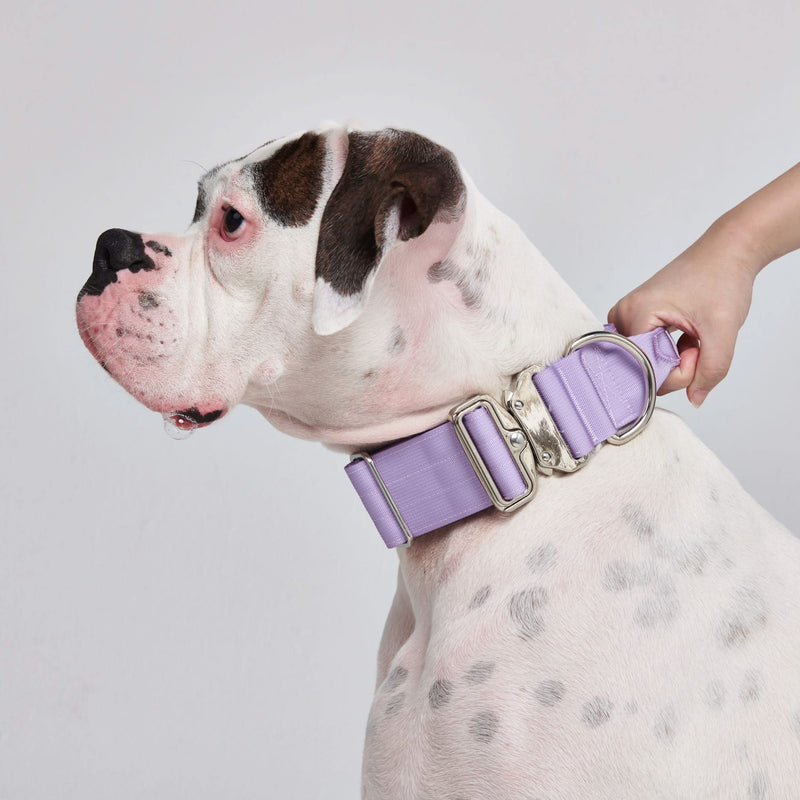Tactical Dog Collar Set - Lilac (2"/5cm)