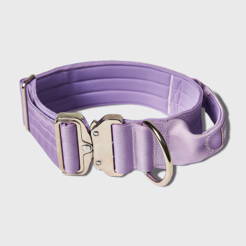 Tactical Dog Collar Set - Lilac (2"/5cm)