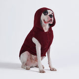Teddy Sherpa Dog Jacket - Maroon