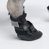 All Weather Dog Shoes