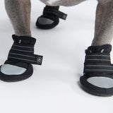 All Weather Dog Shoes