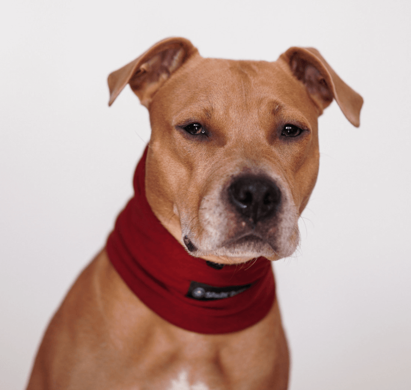 Anxiety Calming Dog Earmuff Protector - Red