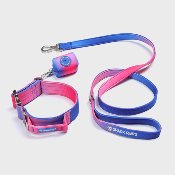 Tactical Dog Collar Set - Snow Cone (1.5"/4cm)