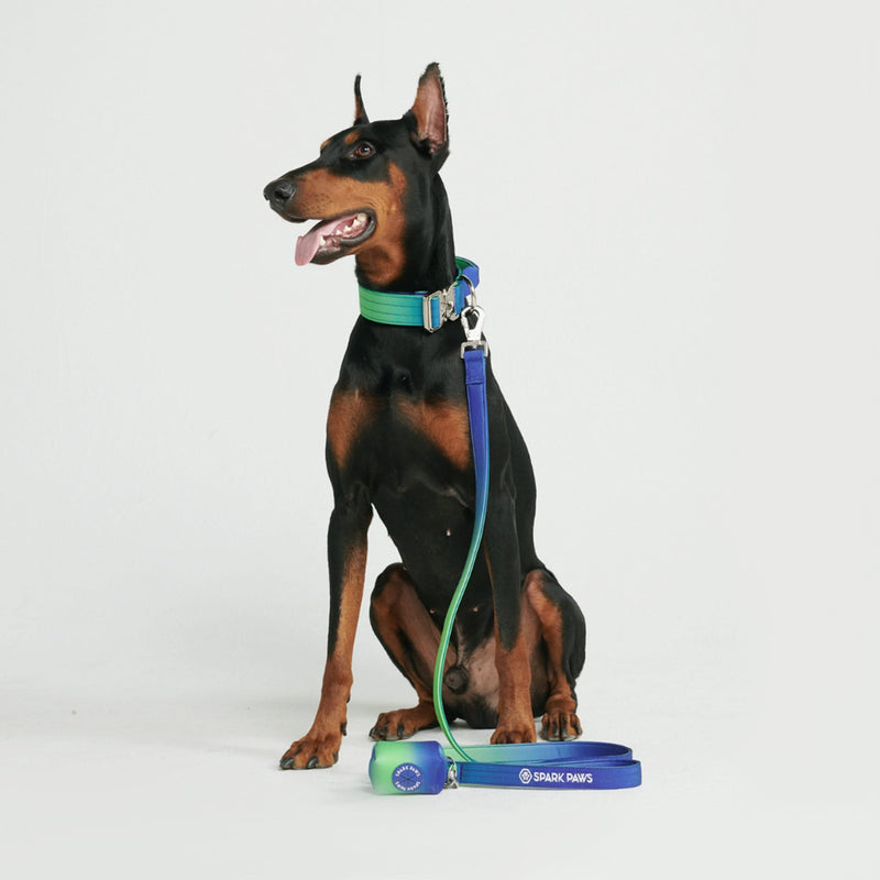 Tactical Dog Collar Set - Multi Color (1.5"/4cm)