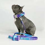 Tactical Dog Collar Set - Multi Color (1.5"/4cm)