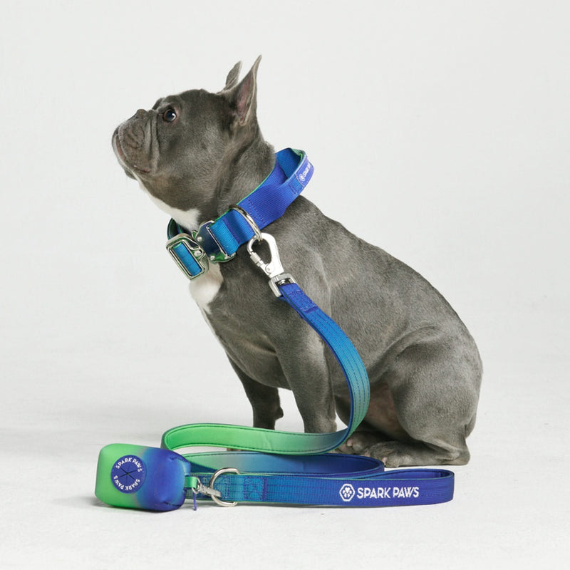 Tactical Dog Collar Set - Lime Wave (1.5"/4cm)