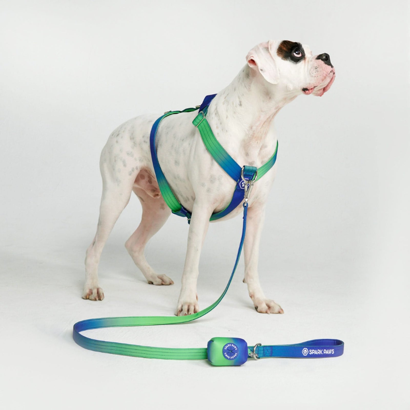 Front facing dog harness outlet