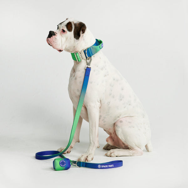 Tactical Dog Collar Set - Lime Wave (2"/5cm)