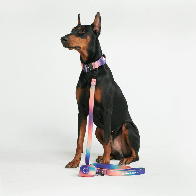 Tactical Dog Collar Set - Multi Color (1.5"/4cm)