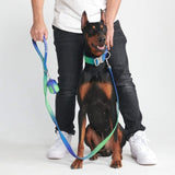 Tactical Dog Collar Set - Lime Wave (1.5"/4cm)