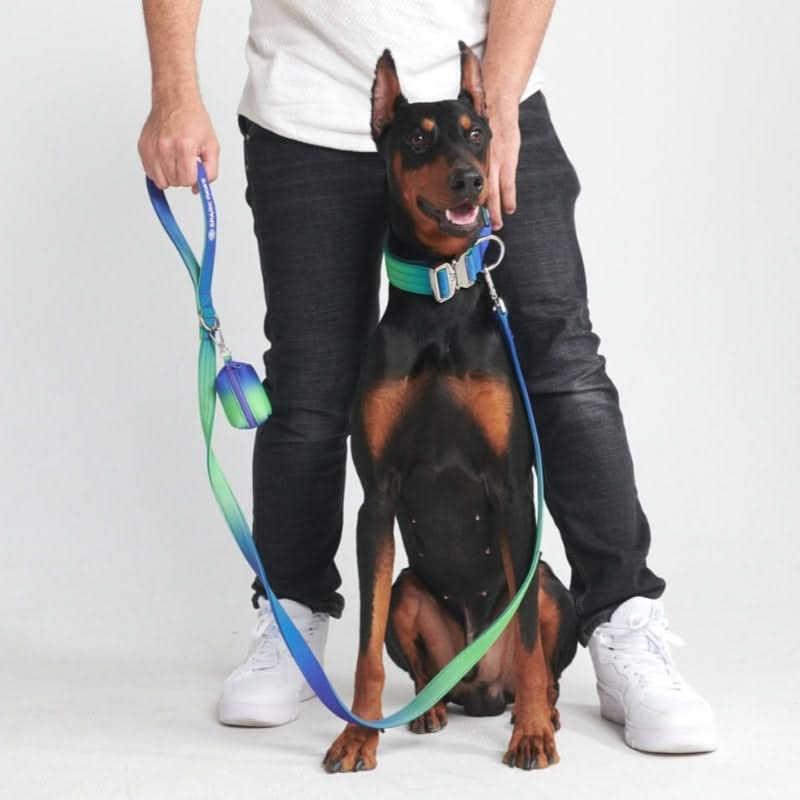 Tactical Dog Collar Set - Lime Wave (1.5"/4cm)