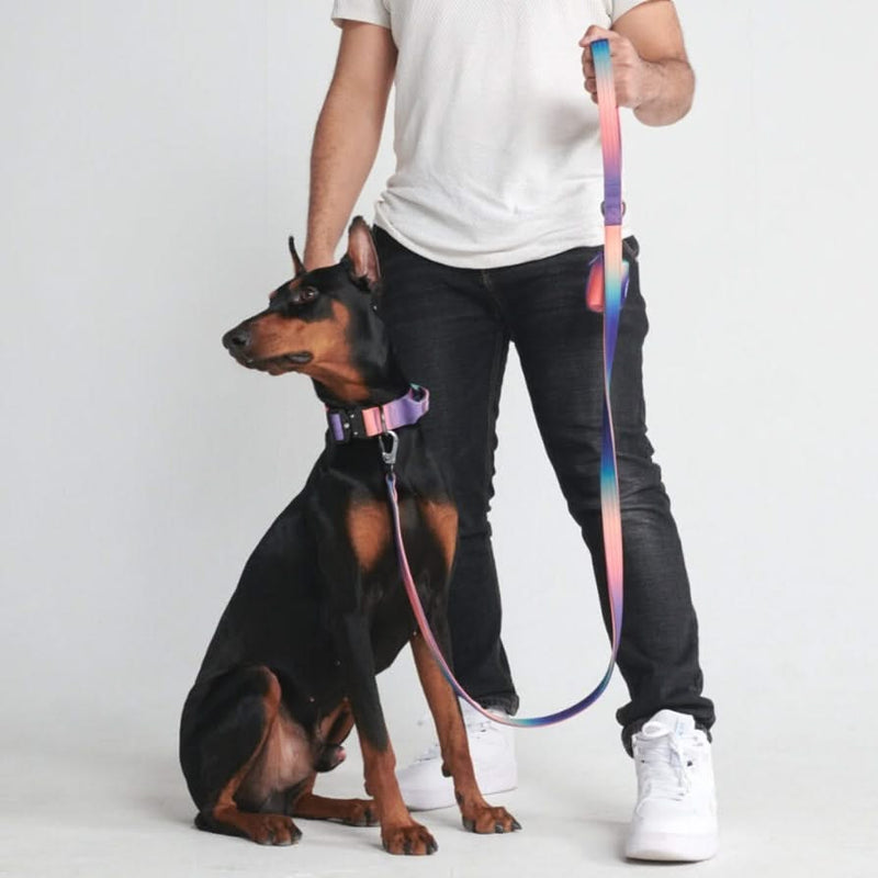 Tactical Dog Collar Set - Kaleidoscope (1.5"/4cm)
