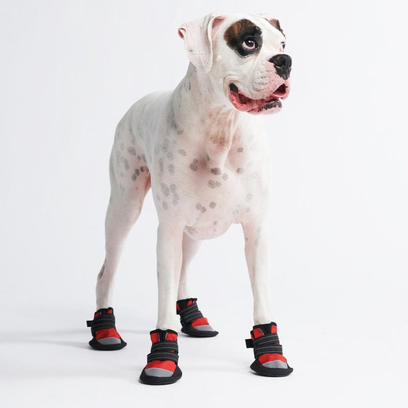 All Weather Dog Shoes