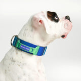 Tactical Dog Collars (2"/5cm)