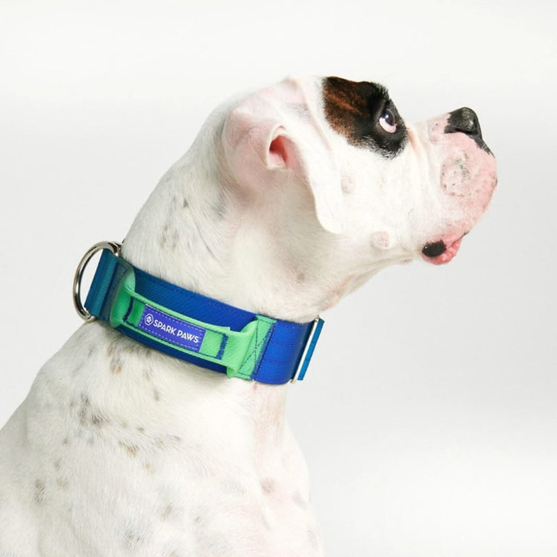 Tactical Dog Collars (2"/5cm)