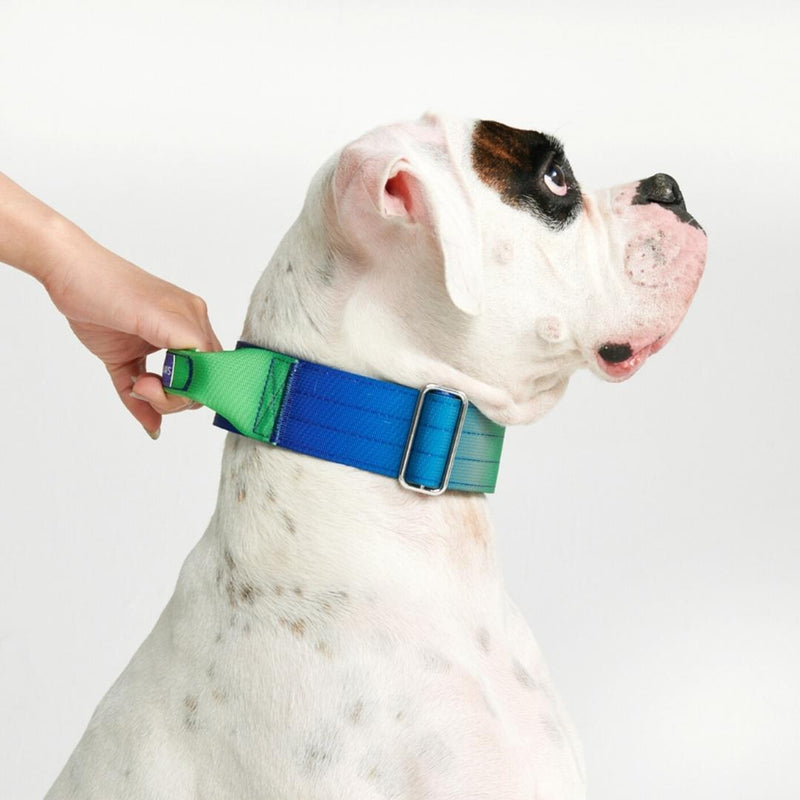 Tactical Dog Collar - Lime Wave (2"/5cm)