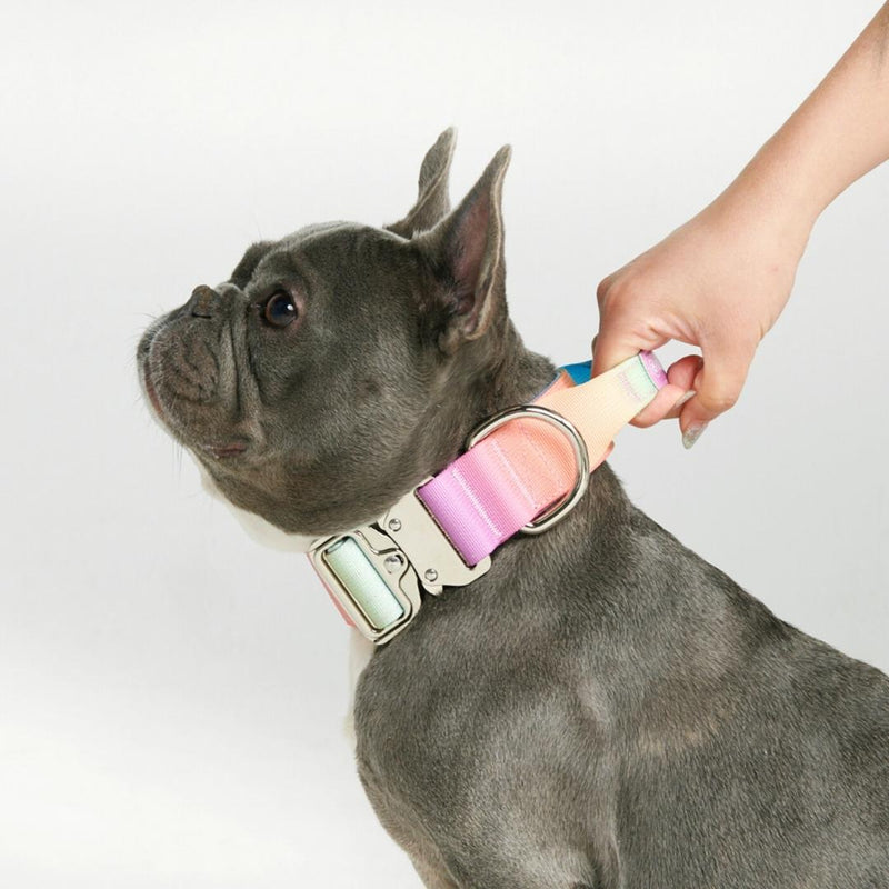 Tactical Dog Collar - Pastel Icing (1.5"/4cm)