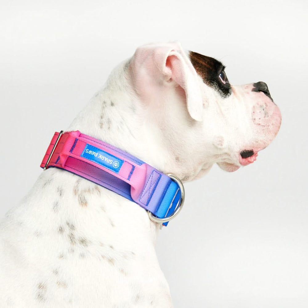 Comfort Control Dog Collars SPARK PAWS