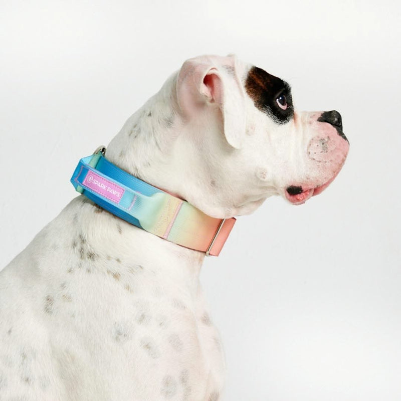 Tactical Dog Collars (2"/5cm)