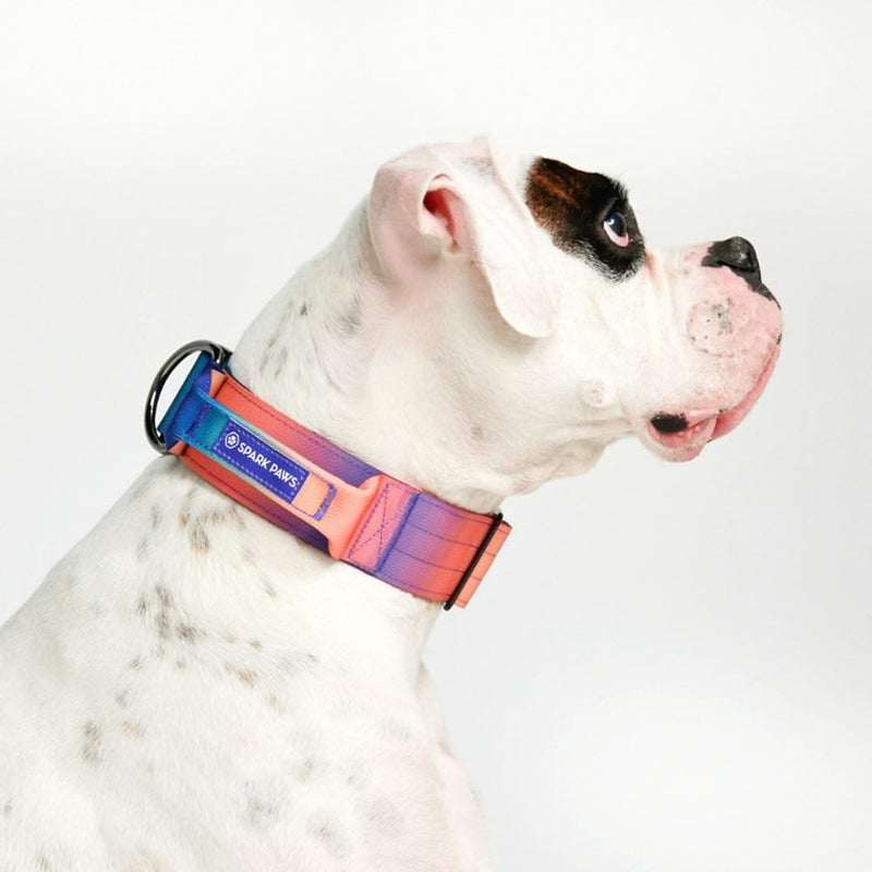 Tactical Dog Collars (2"/5cm)